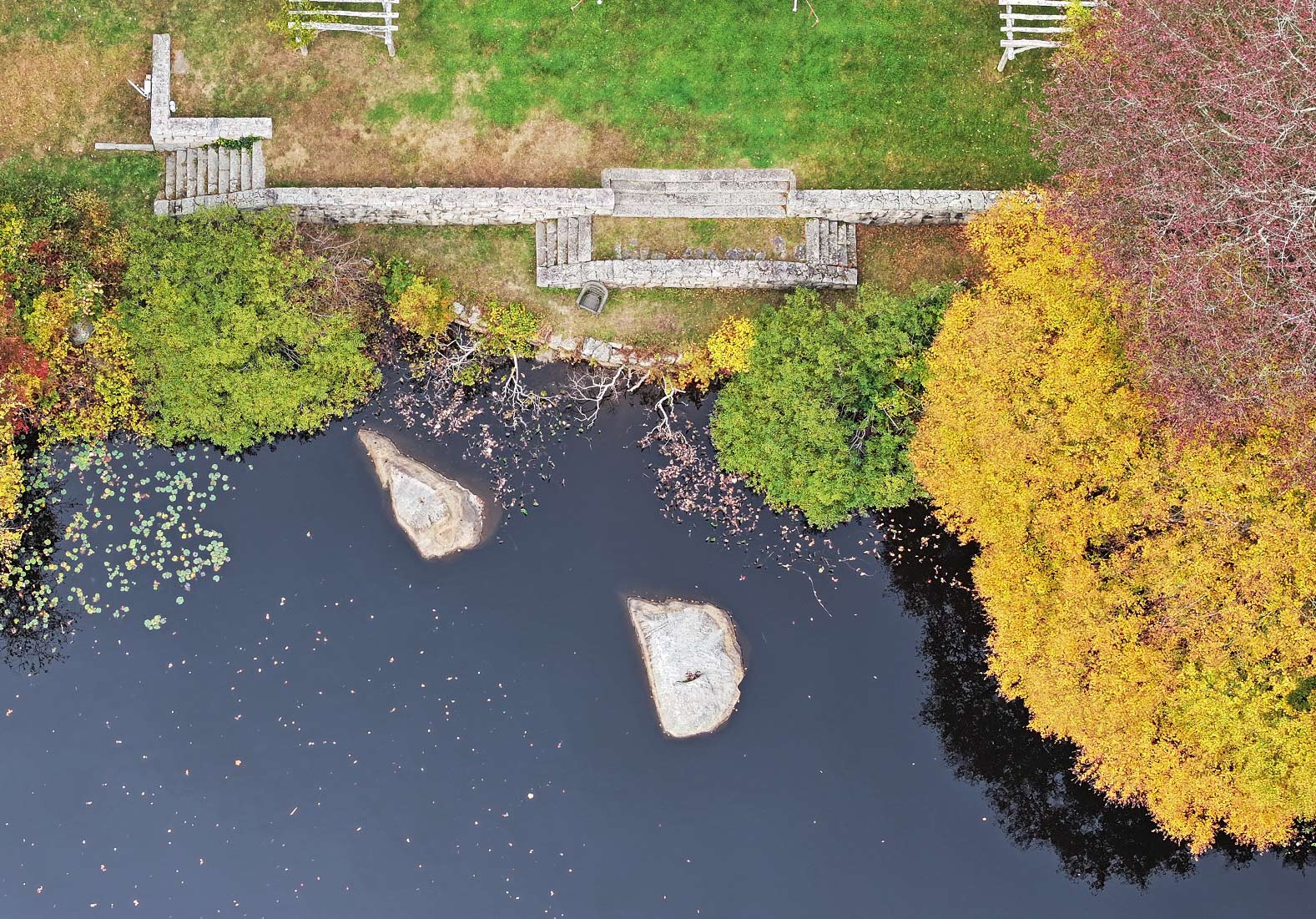 Overhead of the Arboretum