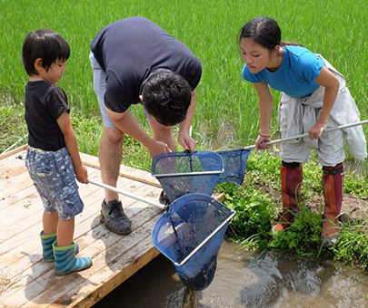 Student Nako Kobayashi doing fieldwork at her internship abroad in Japan.