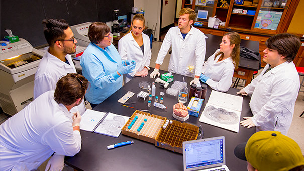 Ruth Grahn teaches a Psychology lab class. 