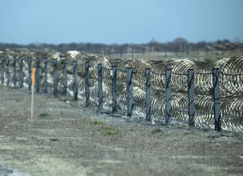 bird-strike-photo