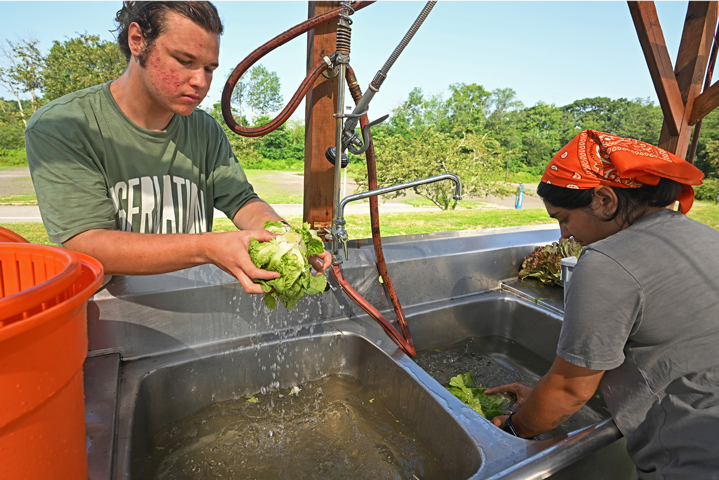 Student workers wash vegetables in the the Sprout garden